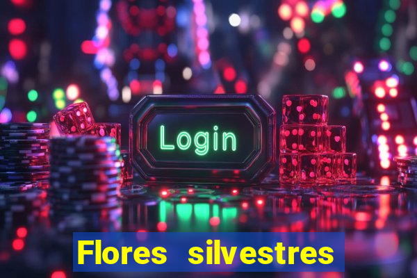 Flores silvestres brasileiras 25